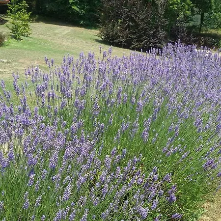 Guikuri Oktogono Apartamento, 1, 2 Y 3 Pax Murua